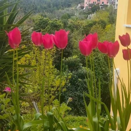 Casa Al Castello Fra Mare E Storia