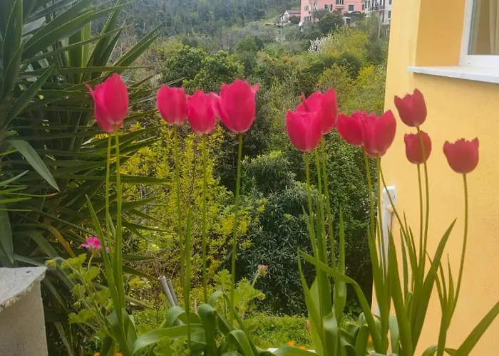 Casa Al Castello Fra Mare E Storia